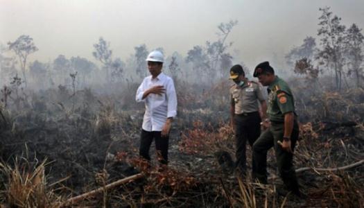 Satgas Karlahut Riau Siap Bantu KLHK dan Kepolisian Usut Kasus APSL