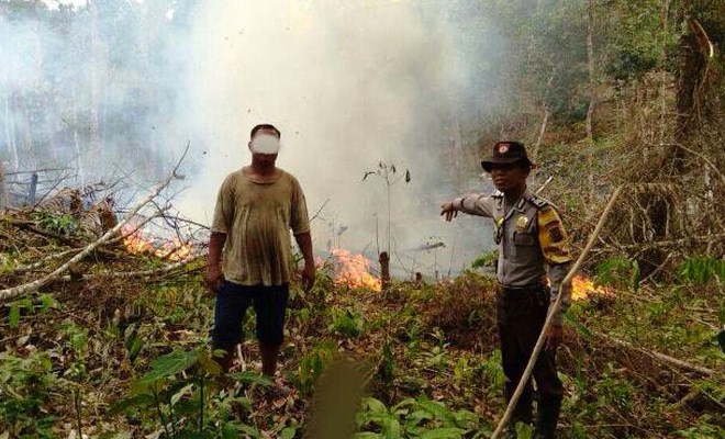 Kasihannn... Warga Suku Talang Mamak di Riau Ditangkap Polisi Karena Bakar Lahan