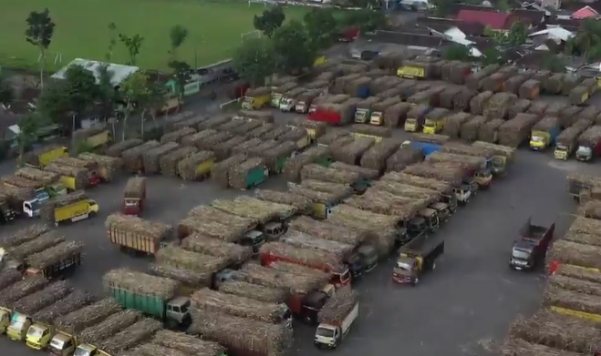 Harga TBS Sawit di Riau Turun, Rp2.702,95 per Kilogram