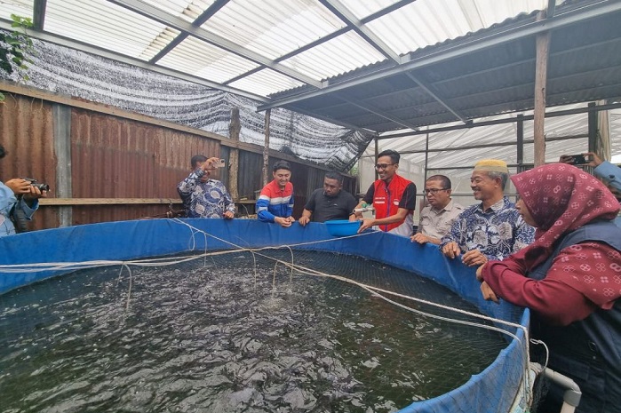 Ada Kampung Semut di Pekanbaru, Ekonomi Warganya Tumbuh Dari  Lele...