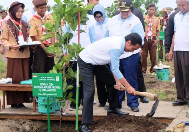Pantas Saja Jokowi Malu, Indonesia Ternyata Impor Pacul Sebanyak 268 Ton