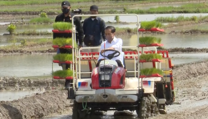 Jokowi Klaim Sepanjang Tahun 2021 Indonesia Belum Lakukan Impor Beras