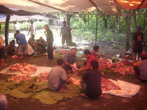 Distribusikan Daging Hewan Kurban, Lurah Kampung Dalam Panggil RT-RW