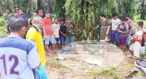 Wanita Cantik Asal Bogor Ditemukan Tewas Terbunuh, Pelakunya Tertangkap, Ternyata...