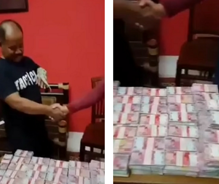 Tak Masuk Akal, Tokek Ini Dijual dengan Harga Rp 10 Miliar, Warganet  Terheran-heran