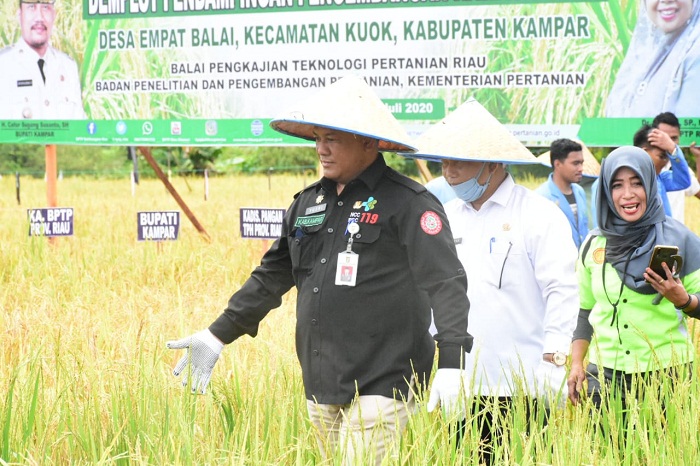 Sekda Minta Warga Kampar Tetap Pertahankan Lahan Pertanian