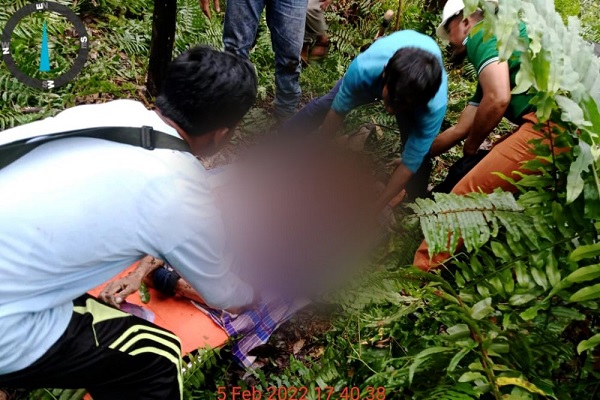 Kronologis dan Kondisi  Pekerja HTI yang Ditemukan Tewas Diduga Diterkam Harimau