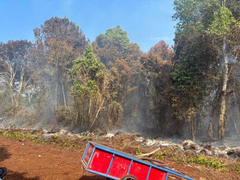 Kebakaran Lahan di Bengkalis, Polisi Tetapkan Tersangka Perambah Hutan
