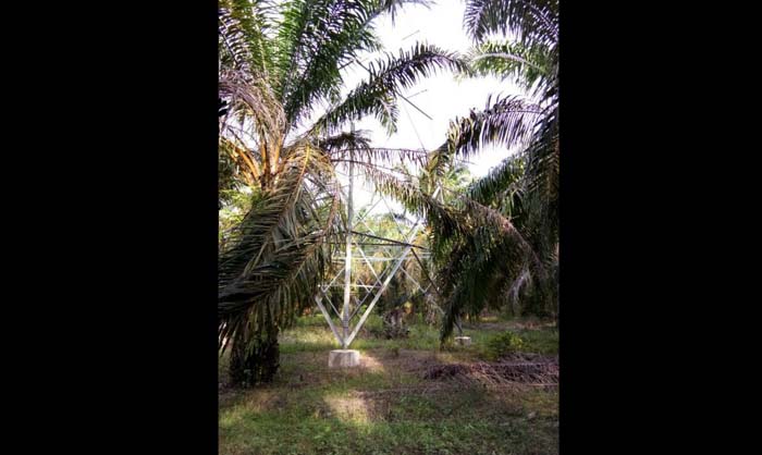 Belum Diganti Rugi, Warga Dua Desa di Rohul Ancam Rubuhkan Tower SUTT Milik PLN
