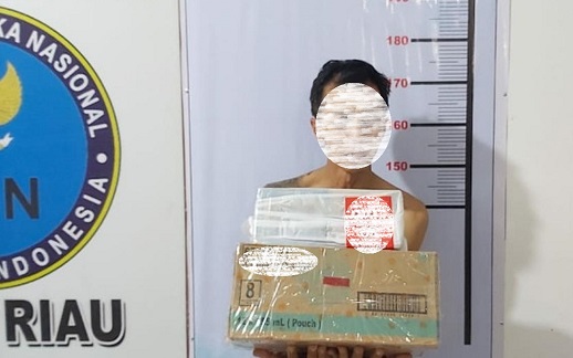 Pasok 20 kg Ganja Milik Tahanan Lapas Bukittinggi ke Sejumlah  Kota, Pemuda Pekanbaru Dicokok BNN 