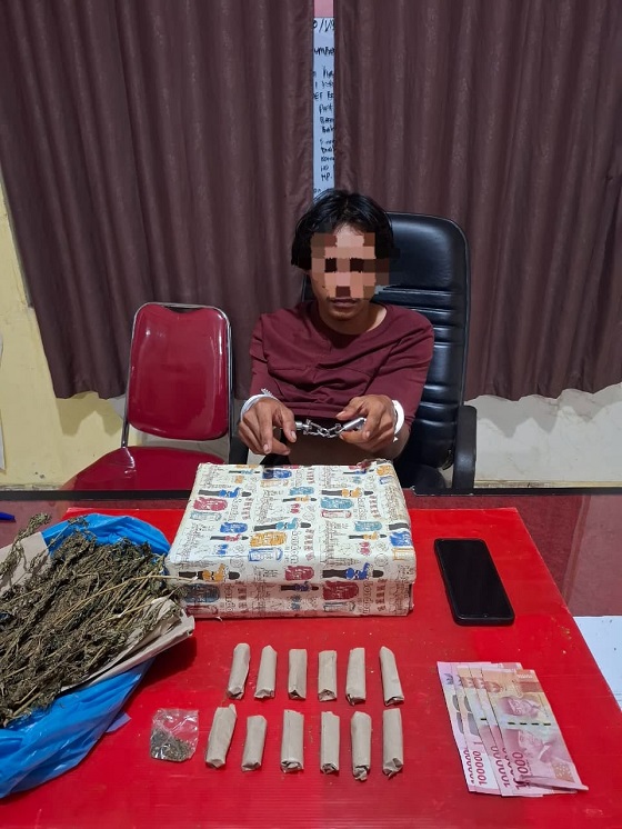 Tim Mata Elang Sat Resnarkoba Polres Kuansing Ungkap Kasus Narkotika Jenis Daun Ganja Kering 200 Gram