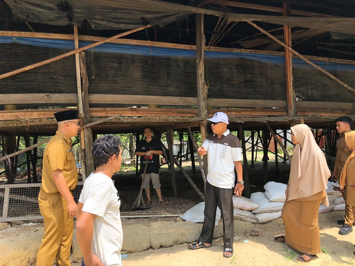Populasi Lalat Meningkat Saat Panen, Pemilik Peternakan di Sialang Rampai  Janji Perbaiki Pengelolaan Kandang