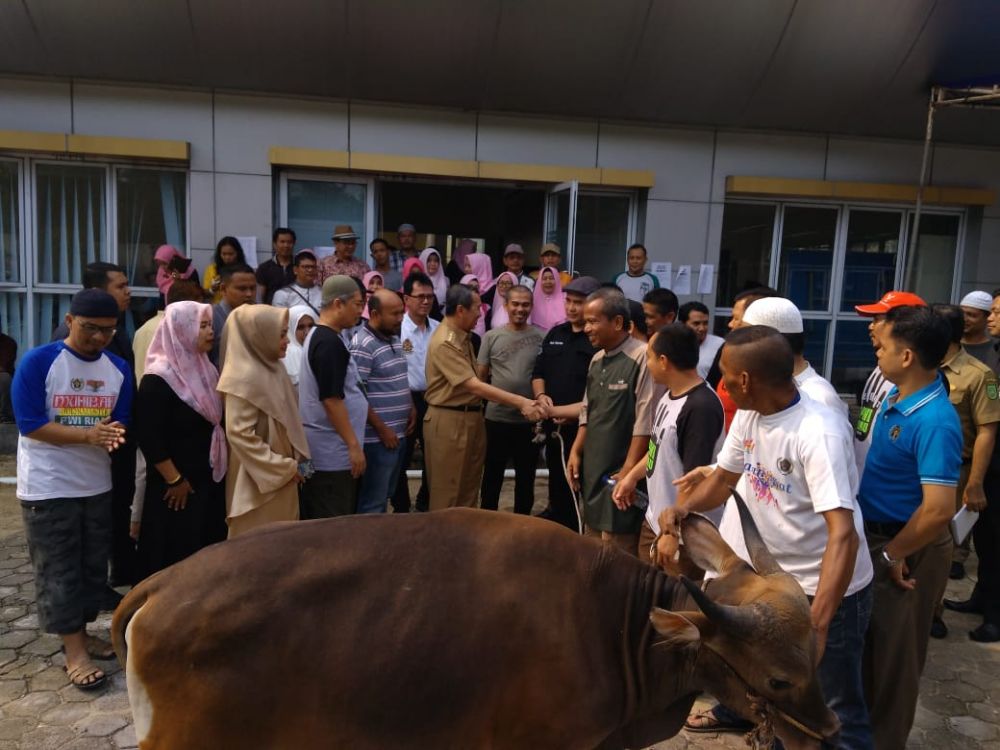 Ajak Wartawan Bersinergi, Gubri Serahkan Sapi Kurban ke PWI Riau