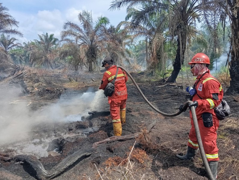 Karhutla Riau Meluas: Dua Titik Baru Muncul di Pelalawan, Pemadaman di Siak dan Rohil Berlanjut