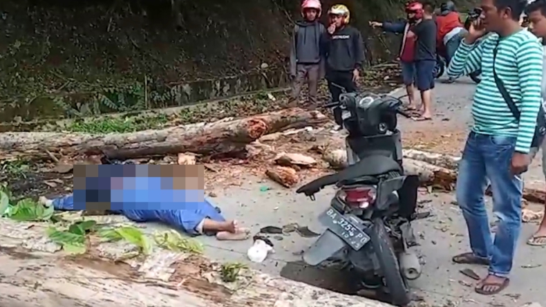 Asik Berkendara, Mahasiswa Tewas Mengenaskan Usai Tertimpa Pohon Trambesi