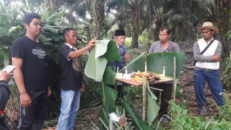 Jinakkan Harimau Bonita, Warga Pulau Muda Buat Ritual Khusus dan Doa Bersama