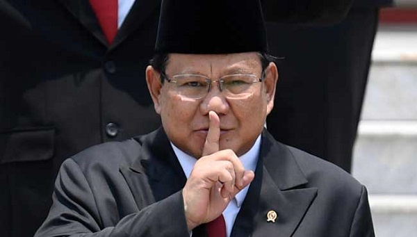 Jokowi Tugaskan Menhan Prabowo Urus Singkong di Kalimantan Tengah, Ini Targetnya...