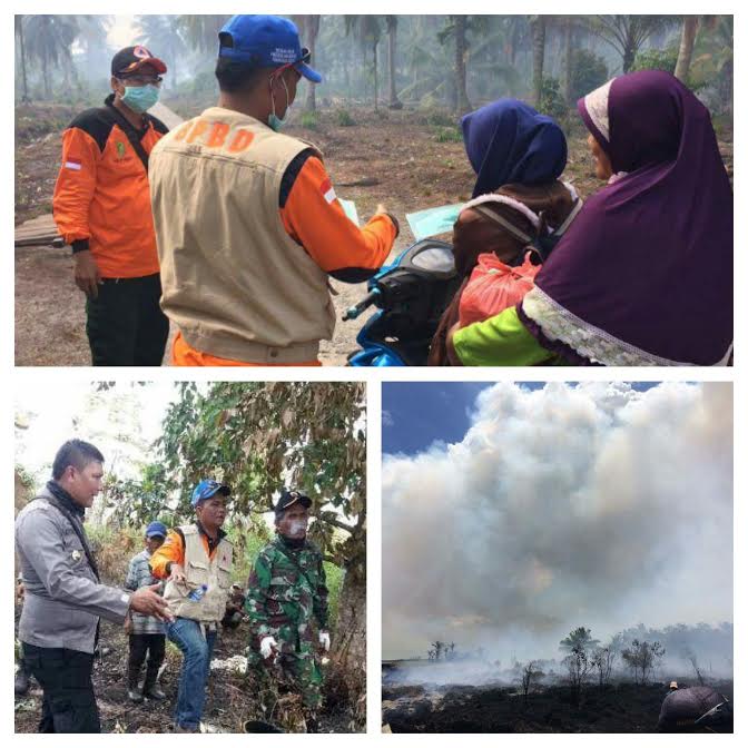 Karlahut di Rangsang Tuntas, BPBD Imbau Warga Segera Melapor Bila Temukan Titik Api