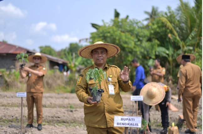 Bupati Bengkalis Terus Dorong Produktivitas Pertanian di Negeri Junjungan
