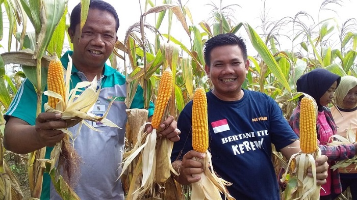 Kamu Bisa Hasilkan Uang Rp45-50 Juta Dalam 3 Bulan, Begini Caranya...