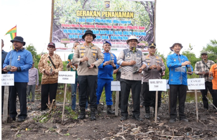 Polres Bersama Pemerintah Kampung  Penyengat Tanam 7000 Bibit Mangrove