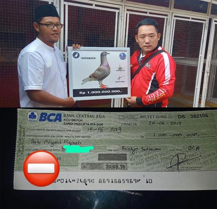 Busyet Dah! Seekor Merpati 'Jayabaya' Asal Bandung Ini Terjual Rp 1 Miliar