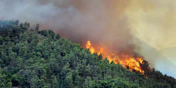 Sepanjang 2019, Luas Lahan Terbakar di Riau Capai 4.139 hektare