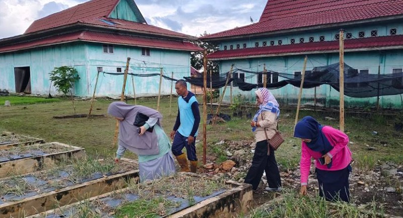 Bantu Pemasaran Produk Pertanian di Pelintung, Pemkot Dumai Optimalkan Aplikasi Digiloka