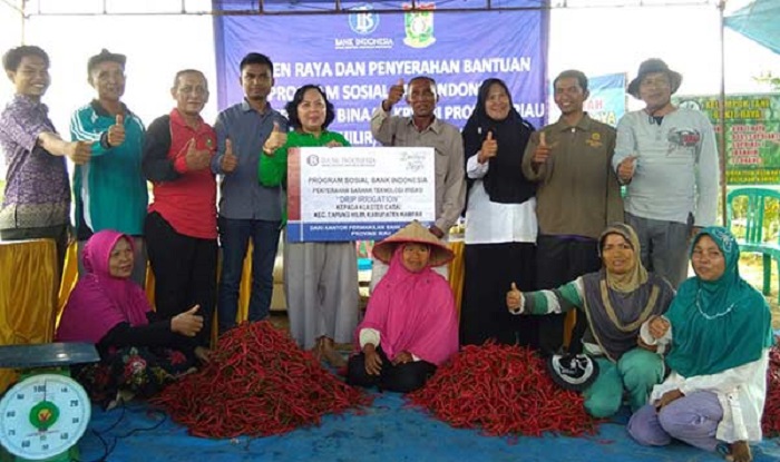 BI Riau Klaim Klaster Cabai Berhasil Tekan Kenaikan Harga di Riau