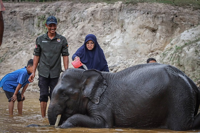 Bupati Afni Kemping Bersama Gajah di PLG Minas