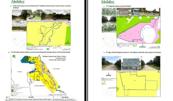 BARU SEBAGIAN: Jikalahari Temukan 29.102 Hektare Areal Holding Zone RTRWP Riau Milik Korporasi dan Cukong