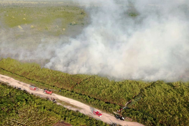25 Hektare Lahan Terbakar di Rokan IV Koto Rohul