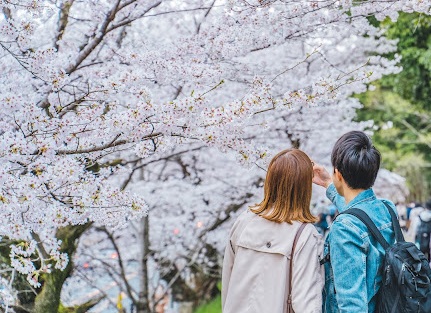 Dilanda Resesi Seks, Pemerintah Jepang Sampai Turun Tangan Jodohkan Warganya dengan Cara Ini...