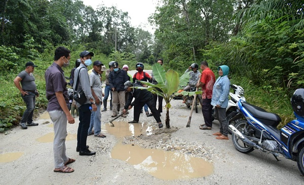 Masyarakat Singingi Atas Tanam Pisang di Jalan, Minta PT SUN Perbaiki Ruas Jalan Simpang Sambung- Sungai Bawang