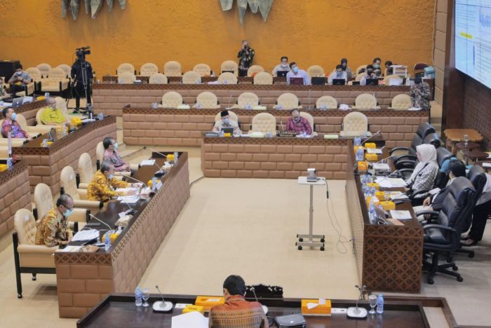 Gubri Minta Dukungan Komisi V DPR RI untuk Pemulihan Sungai-sungai Besar di Riau