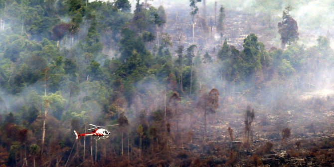 Sudah 50 Hektar Lahan Gambut di Indragiri Hulu Riau Terbakar