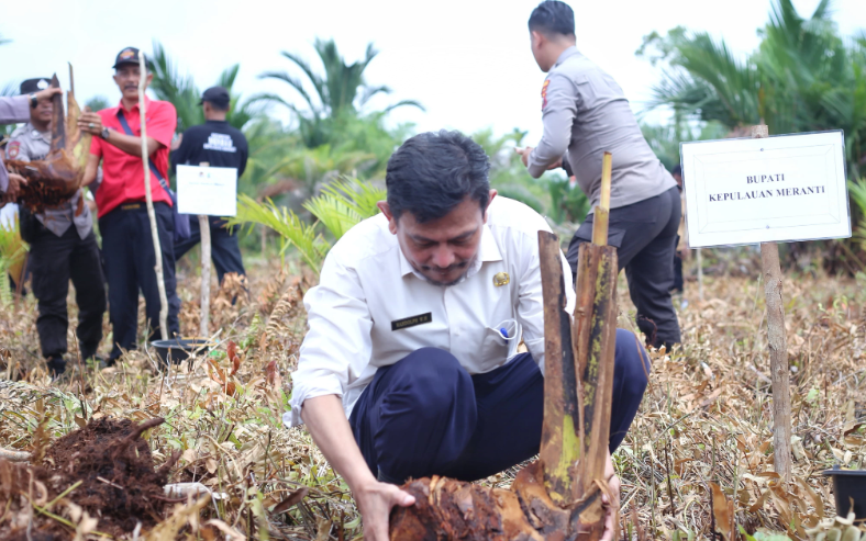 Penanaman Pohon Serentak Seluruh Indonesia, Pemkab Meranti Pusatkan di Kecamatan Merbau