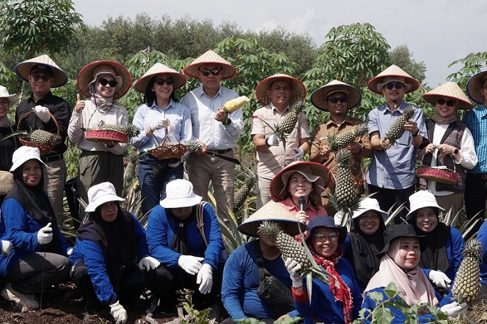 Kemitraan Agroforestri Dorong Ekonomi Hijau dan Ketahanan Pangan di Riau di Dayun Siak