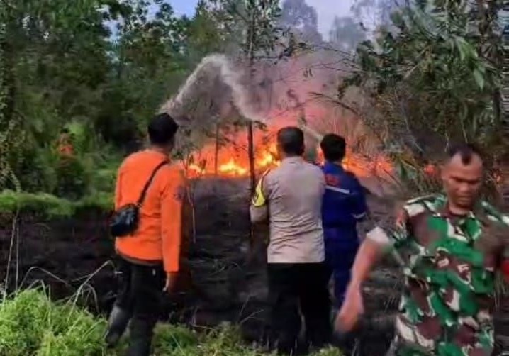 Satgas BPBD Pekanbaru Padamkan Kebakaran Lahan di Jalan Nelayan