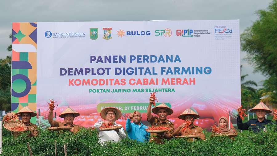 Dukung GNPIPI 2023, TPID Provinsi Riau dan Kampar Panen Cabai Demplot Digital Farming