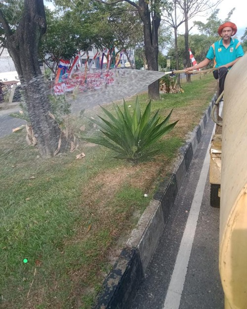 DLHK Pekanbaru Tambah Jadwal Penyiraman Tanaman Median Jalan