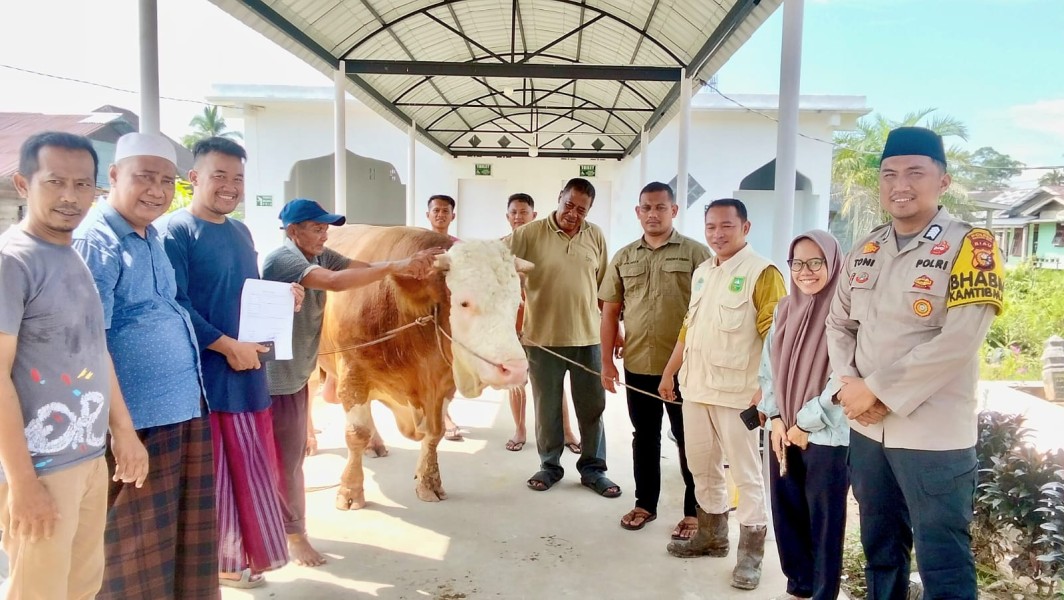 Musholla Syech Oesman Syahabuddin  Terima Bantuan Sapi Qurban dari Presiden
