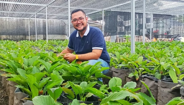 Anak Muda Pekanbaru Sukses Budidaya dan Bisnis  Rimpang Kunyit Hitam, Penghasilannya Hingga Rp500 Jutaan...