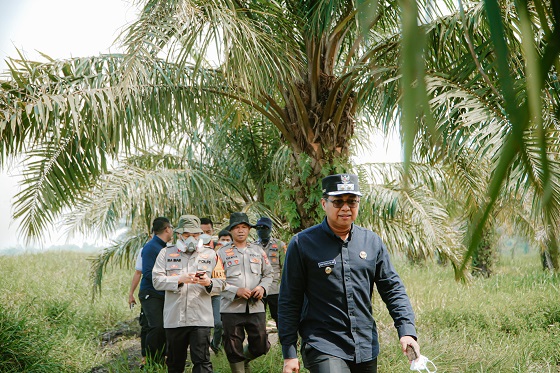 Wabup Rohil Bersama Forkopimda Turun Langsung Padamkan Karlahut di Bangko Permata