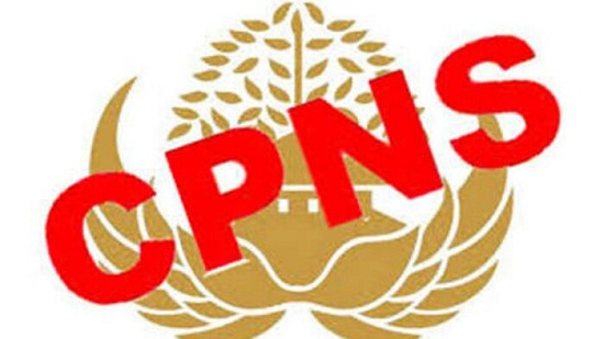 Buka Lowongan CPNS, Sampai Malam Tadi Akun Kementerian PANRB dan BKN Down...