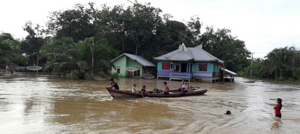 Sungai Nilo Meluap, Desa Lubuk Kembang Bunga di Pelalawan Kembali Kebanjiran
